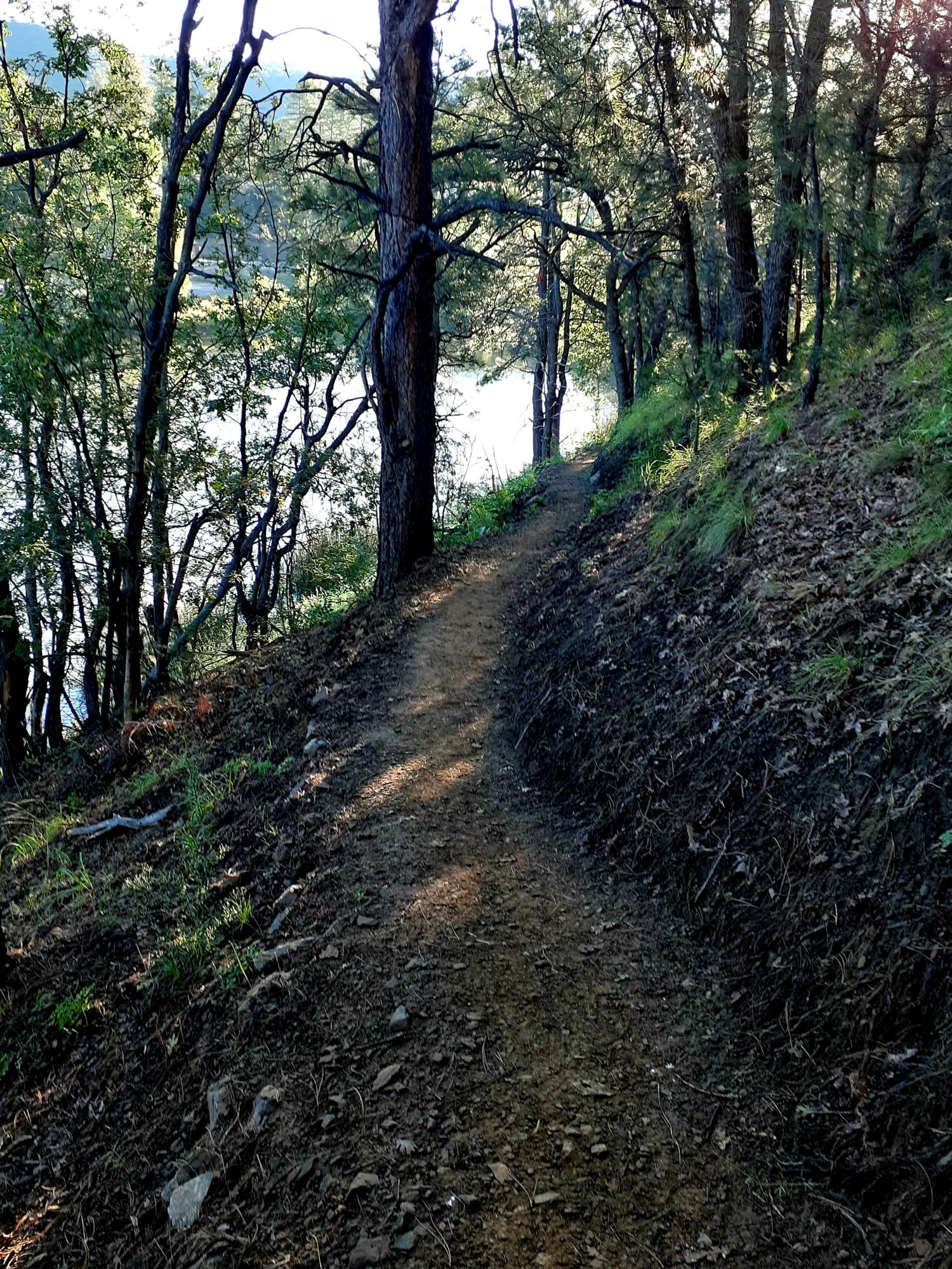 Path along the Goldwater Loop Trail Prescott Hikes