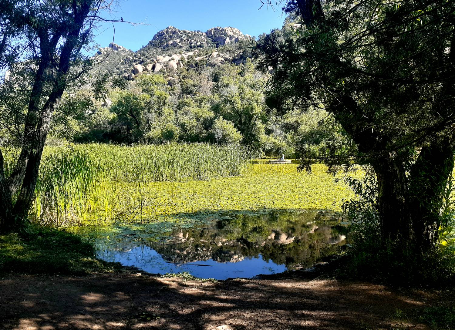 Hiking in Granite Basin