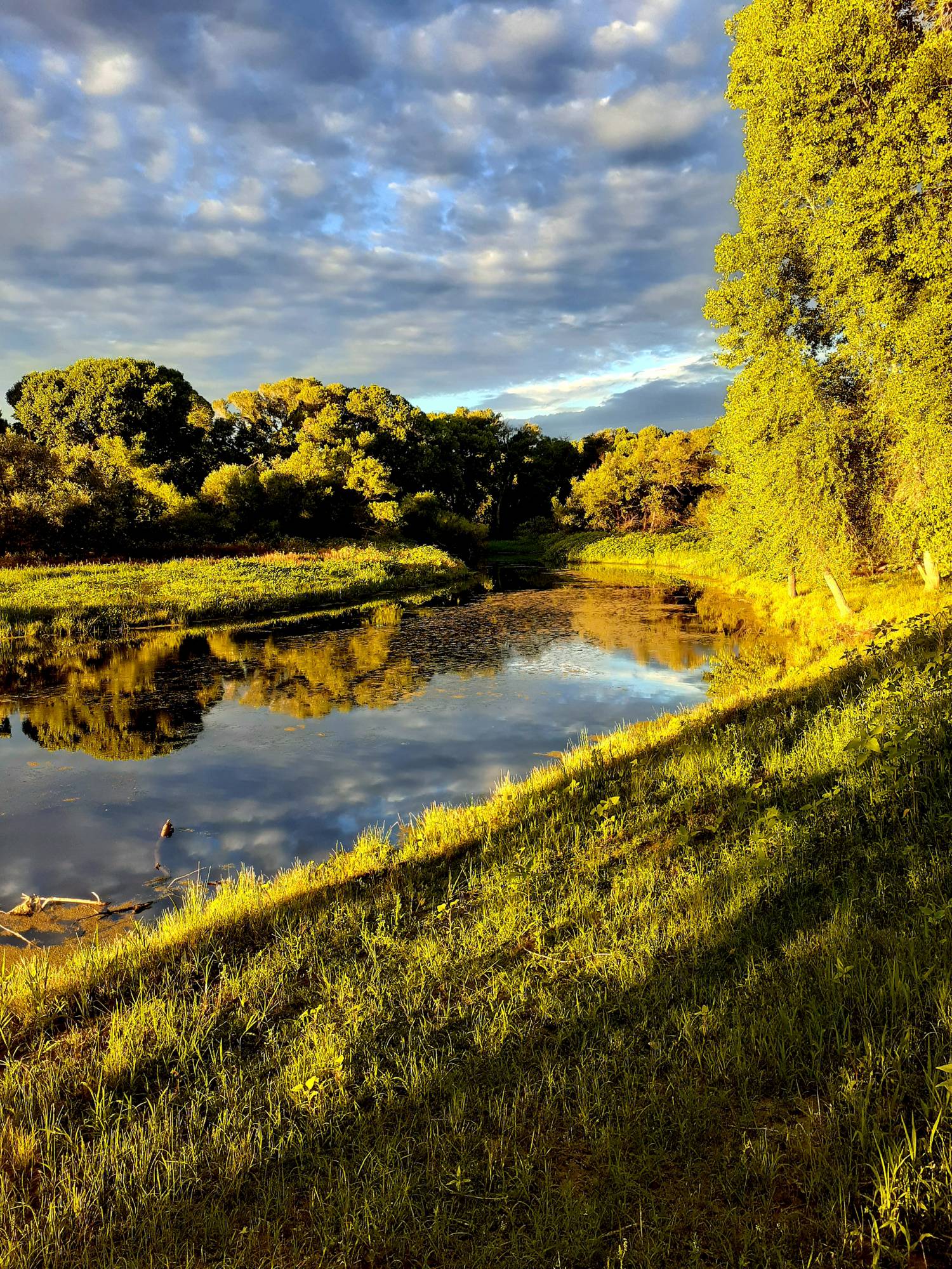Granite Creek Reparian Preserve along the Discovery Trail in Prescott Arizona