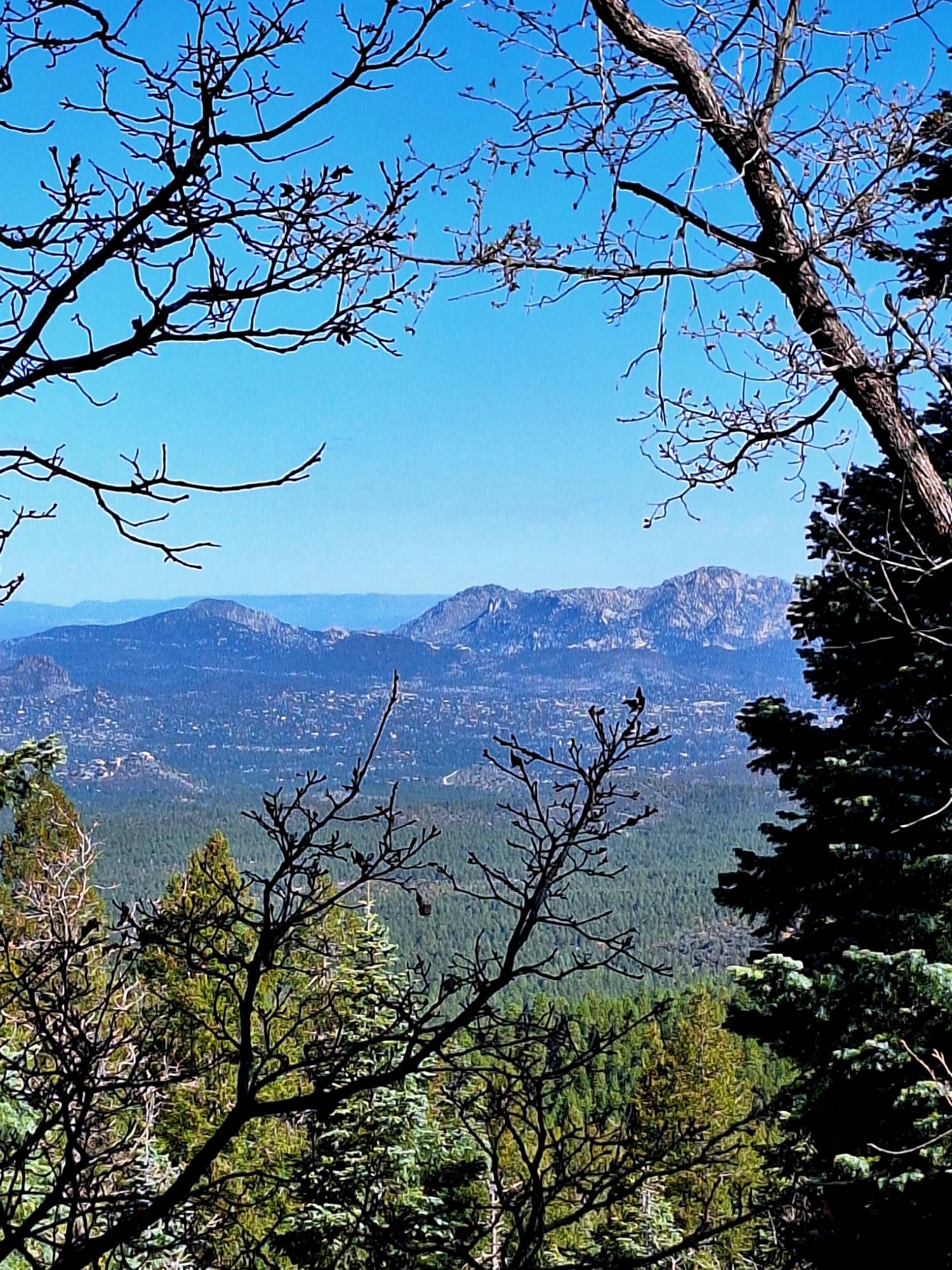 Hiking Prescott Trail 307 looking over the town