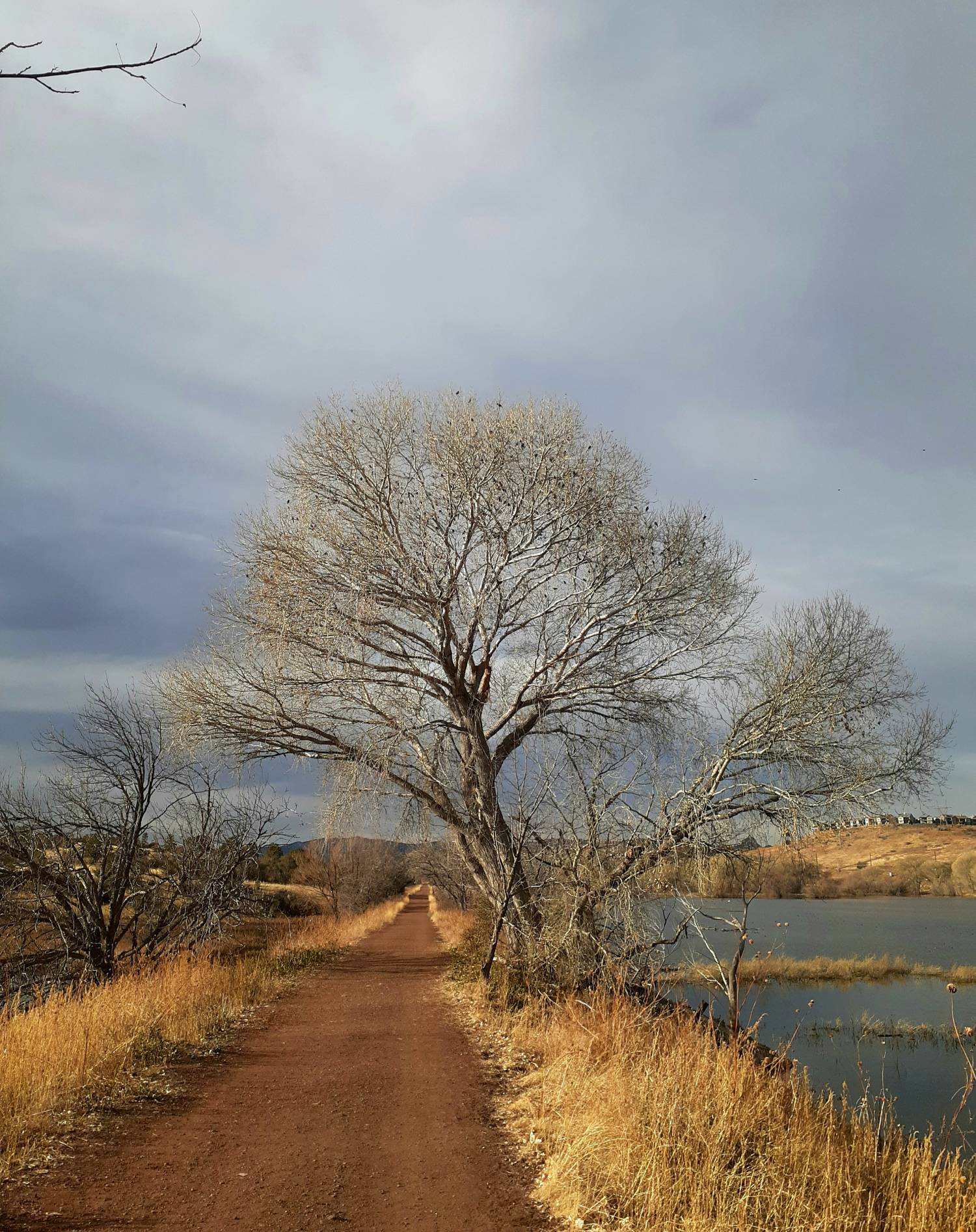 A cloudy day hiking the Peavine Trail in Prescott AZ